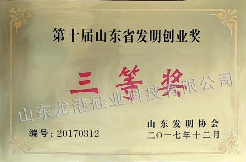 The third prize of the 10th Shandong invention and entrepreneurship Award