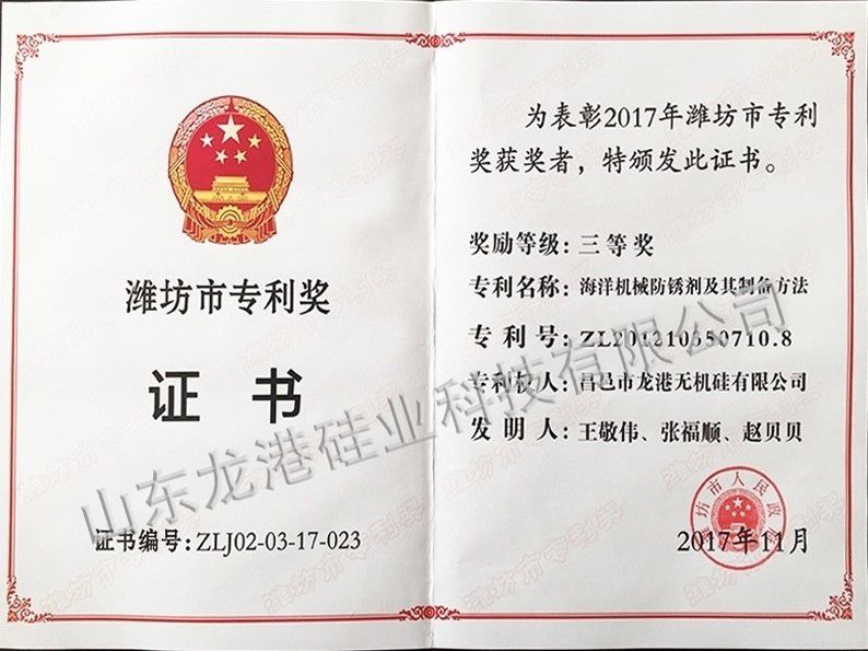 Third prize of Weifang Patent Award