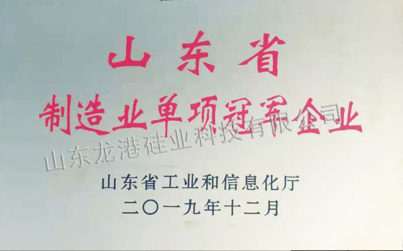 Shandong manufacturing single champion enterprise