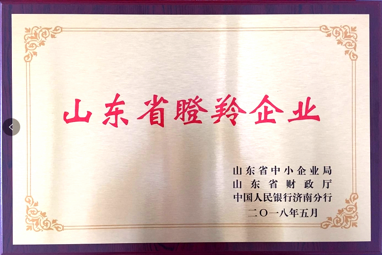 回首过去，不忘初心；展望未来，砥砺前行丨2019，龙港再出发！