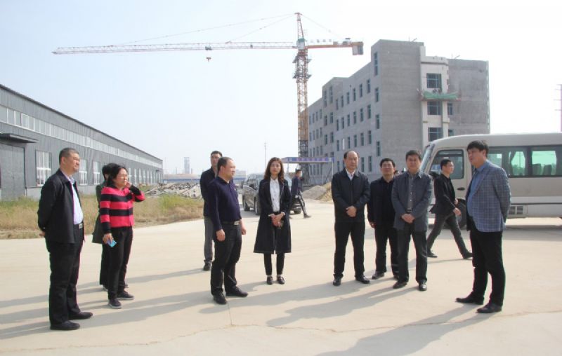 潍坊市重点项目督导组到龙港新材料公司督导重点项目建设推进情况