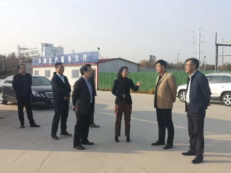 市委常委、组织部部长胡筱芹陪同中汽中心专家到龙港汽车城进行调研
