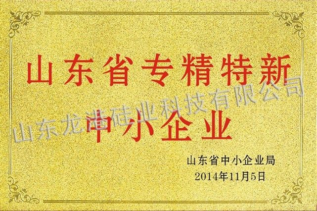 山东省专精特新中小企业