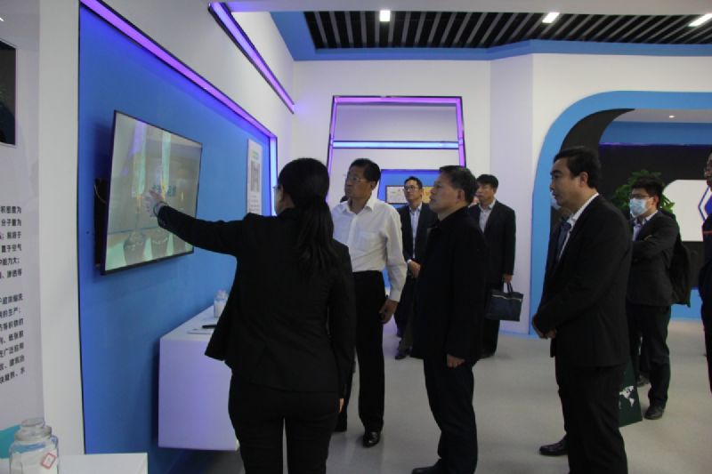 省工信厅领导到龙港硅业公司开展上市培育和投rongzi调研及对接服务