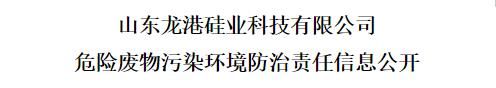 山东龙港硅业科技有限公司危险废物污染环境防治责任信息公开